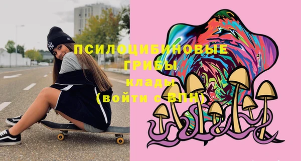 твердый Верея